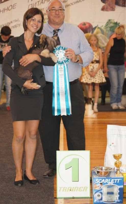 Нерону (Zlato Dinastii Neron) — 14 лет. Поздравляем тебя, наш знаменитый папа!. Питомник китайских хохлатых собак Poale Ell: купить щенка