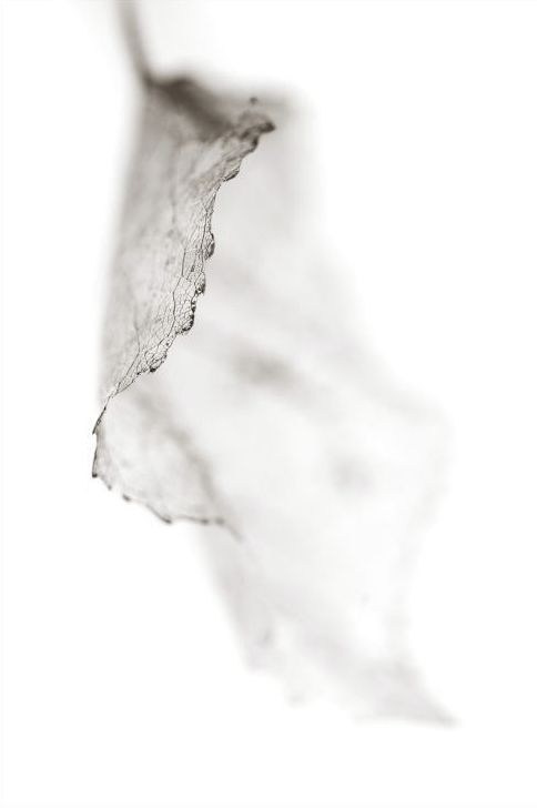 Клинический психолог в Москве Абрамова Юлия