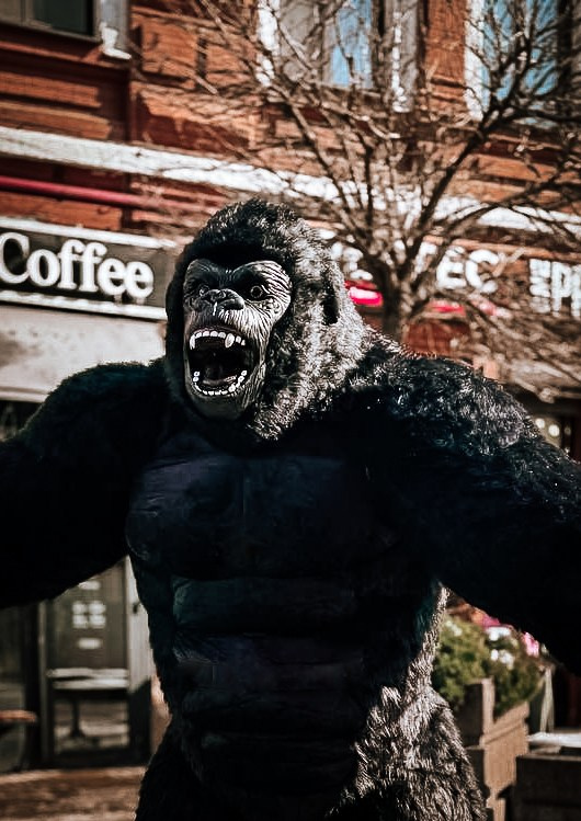 Эксперсс поздравление.ростовые куклы, медведь, панда, горилла. Организатор праздников. Ведущая Марина Гребенникова