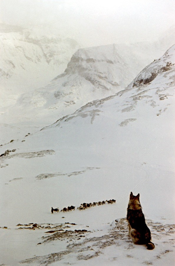 Саяны. ВАДИМ ГИППЕНРЕЙТЕР — ВЕЛИКИЙ ФОТОГРАФ ЗЕМЛИ РУССКОЙ