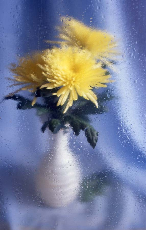 Предметная фотосъемка. Фотограф в Москве Юлия Карпова