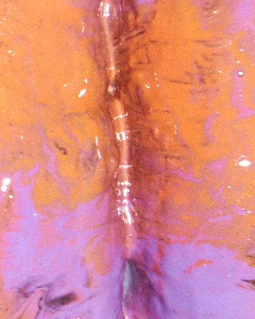 Art project Rosya part II. Anastasia Anisimova. Фотограф Москва