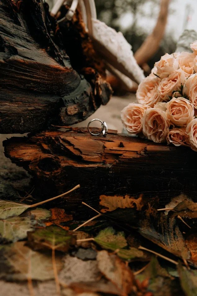 Евгений и Александра. Фотограф Калининград Илья Миллер