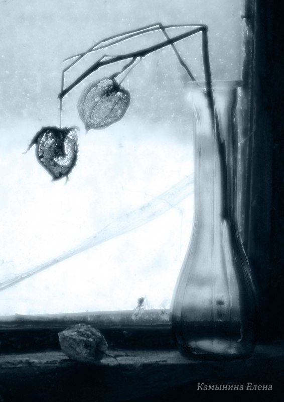 Натюрморт. Фотограф Елена Камынина