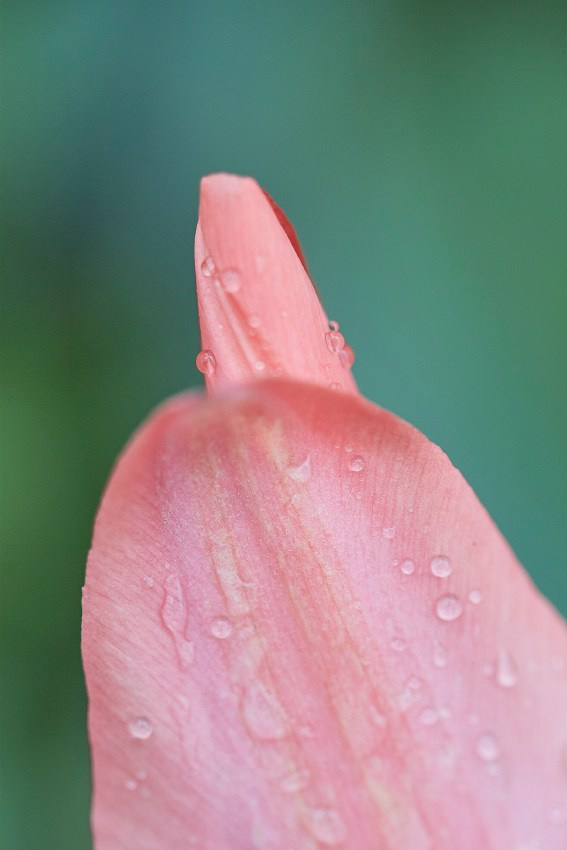 Коллекция «ПРИКОСНОВЕНИЕ». Лена Сми интерьерный и портретный фотограф. Москва и Санкт-Петербург