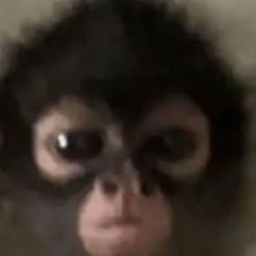 Отзывы. Фотограф Тимур Хайруллин