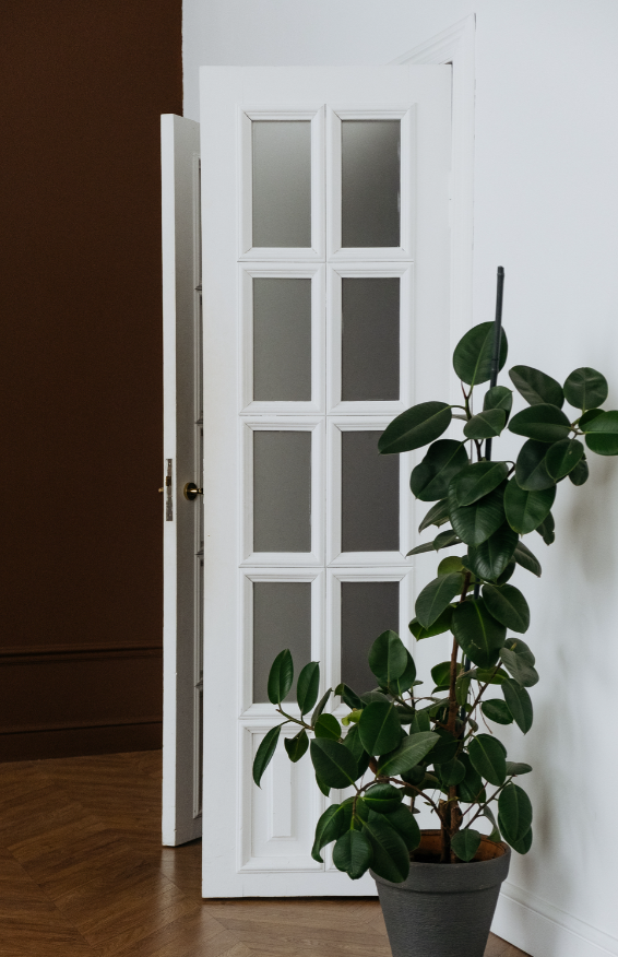 Зал AURA (Фотостудия Дача). Детский семейный фотограф Краснодар