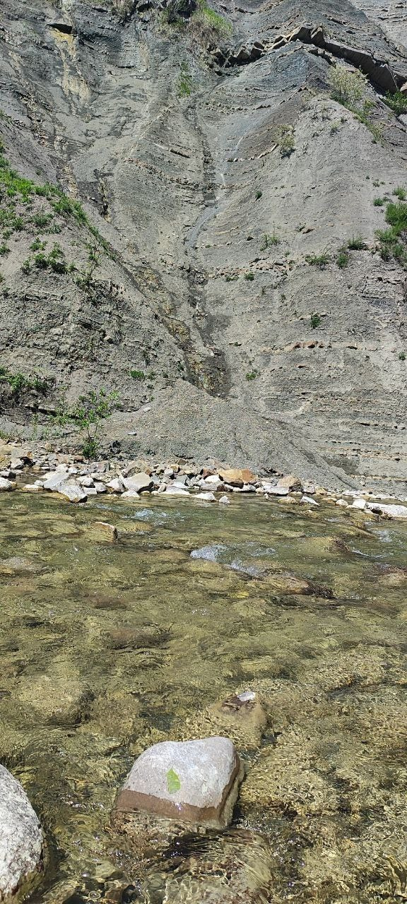 Горы 2025. Собор Отрасли