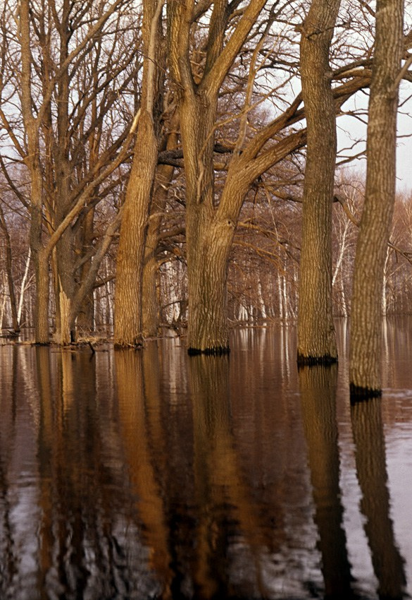 Весна. ВАДИМ ГИППЕНРЕЙТЕР — ВЕЛИКИЙ ФОТОГРАФ ЗЕМЛИ РУССКОЙ