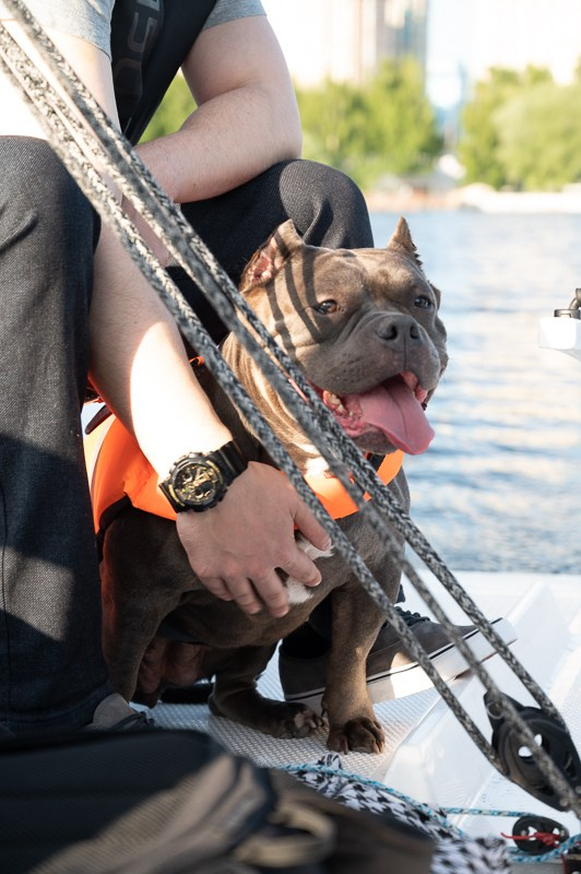 Яхтинг. Мир живой фотографии о Вас и для Вас