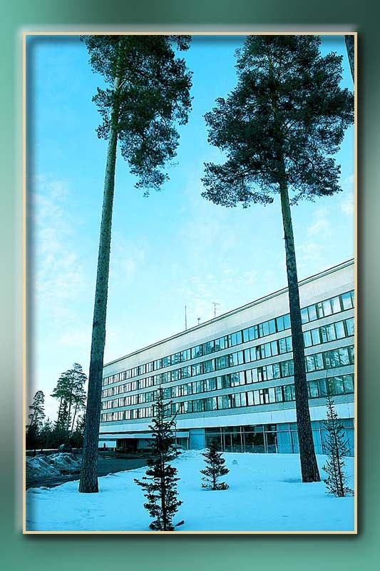 Корпоратив Сименс Новый год. Skazka.wfolio.pro