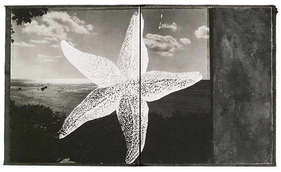 Миф и фотография. Екатерина Васильева художник, куратор и преподаватель