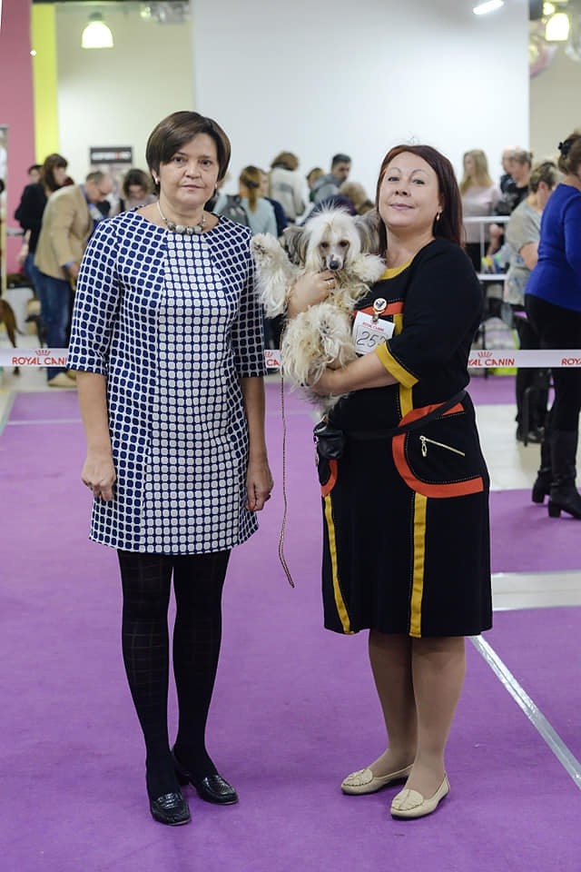 18.11.2018 г. Москва, Всероссийская выставке\а клуба "Элегия-Престиж", эксперт Е.Крюкова, класс юниоров, JCAC.