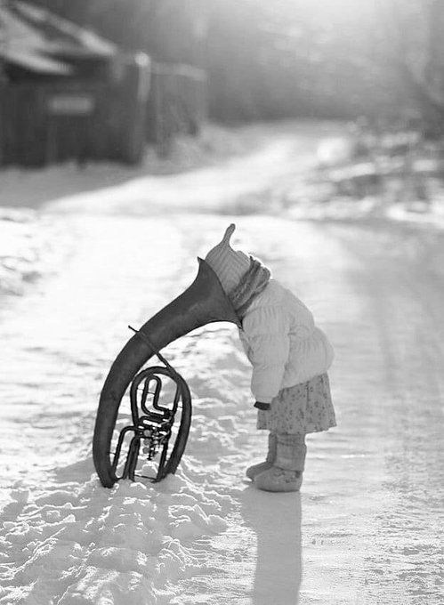 Духовые инструменты. Фотограф для маркетплейсов Михаил Бове