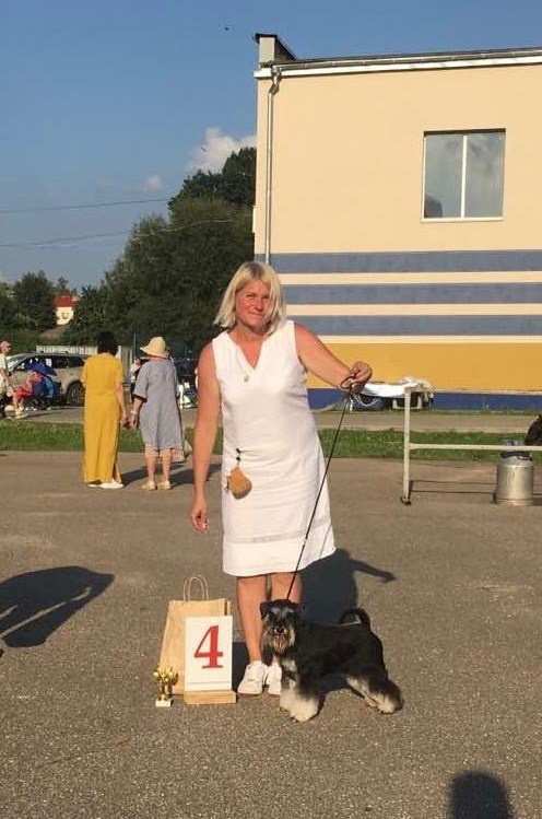 Питомник Делинсо Бэлэнс, щенки цвергшнауцера, купить щенка цвергшнауцера, питомник цвергшнауцеров, кобель цвергшнауцера для вязки, щенок цвергшнауцера, питомник цвергшнауцеров, черный с серебром, цверг, лучший питомник в беларуси