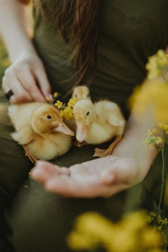 Летние фотопроекты