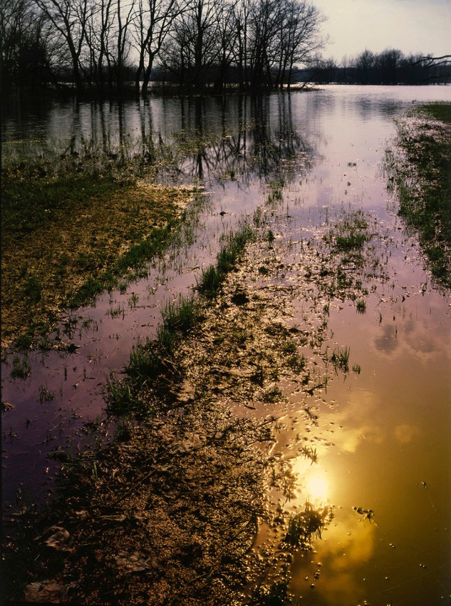 Весна. ВАДИМ ГИППЕНРЕЙТЕР — ВЕЛИКИЙ ФОТОГРАФ ЗЕМЛИ РУССКОЙ