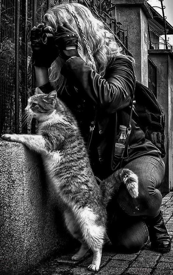 Ава. Фотограф для маркетплейсов Михаил Бове