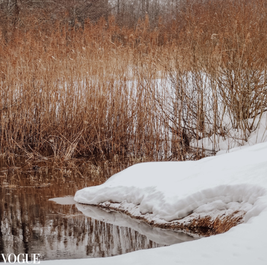 Фотограф Олеся Шипихина г. Москва