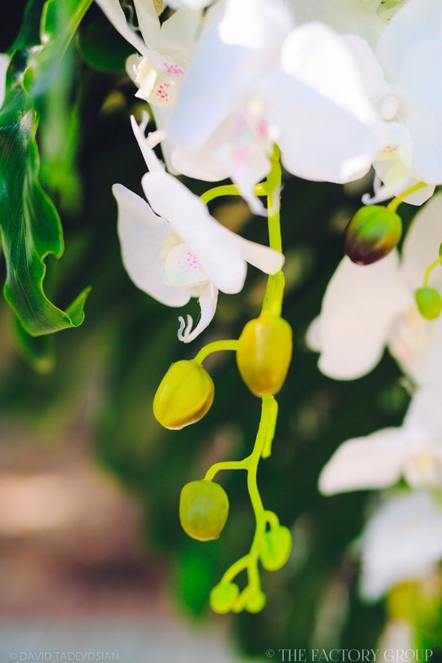 THE FACTORY. Организация мероприятий Донецк (ДНР). Организация и декор мероприятий Донецк (ДНР)