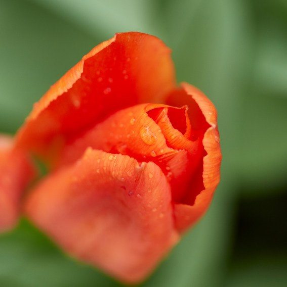 Коллекция «ПРИКОСНОВЕНИЕ». Лена Сми интерьерный и портретный фотограф. Москва и Санкт-Петербург