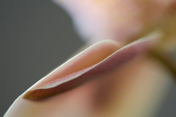 Коллекция «ПРИКОСНОВЕНИЕ». Лена Сми интерьерный и портретный фотограф. Москва и Санкт-Петербург