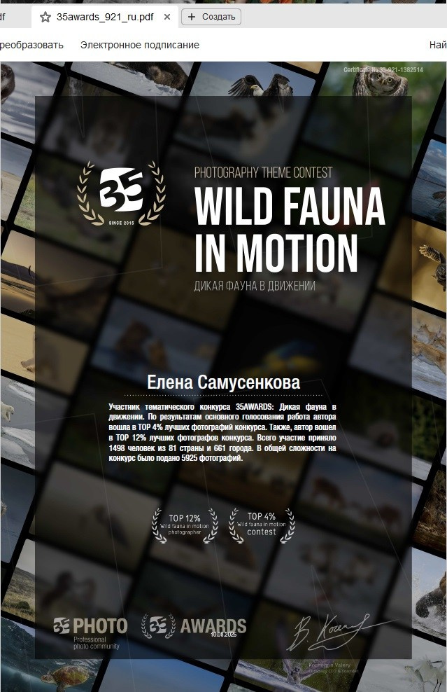Конкурсные работы. Фотограф-анималист в Москве и Подмосковье