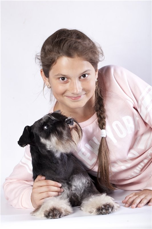 Питомник Делинсо Бэлэнс, щенки цвергшнауцера, купить щенка цвергшнауцера, питомник цвергшнауцеров, кобель цвергшнауцера для вязки, щенок цвергшнауцера, питомник цвергшнауцеров, черный с серебром, цверг, лучший питомник в беларуси, питомник цвергшнауцеров минск