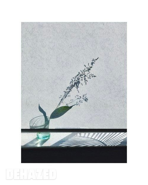 Галерея 2. Наталья Жукова. Курсы фотографии