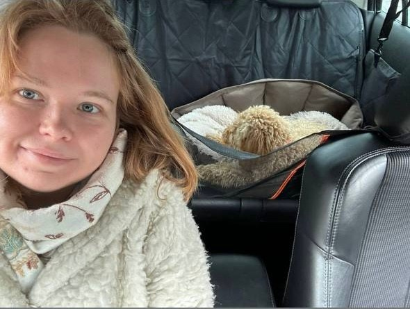 Выпускники. Заводчик Labradoodle в Санкт-Петербурге — Костылева Ульяна