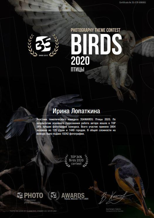 Фотограф Лопаткина Ирина. Фотограф Лопаткина Ирина