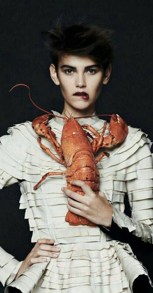 Рыба и морские гады. Фотограф для маркетплейсов Михаил Бове