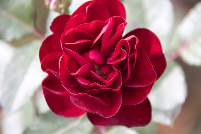 HQ скачать на https://unsplash.com/@elegeo/