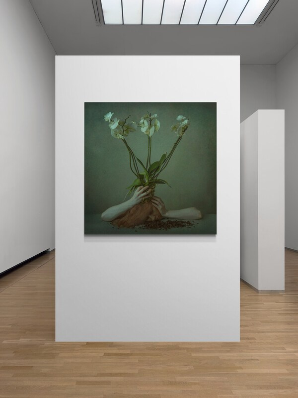 Картины в интерьере. Фотохудожник АРТ-фотограф Ира Будниченко Москва