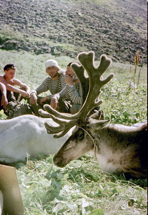 Саяны. ВАДИМ ГИППЕНРЕЙТЕР — ВЕЛИКИЙ ФОТОГРАФ ЗЕМЛИ РУССКОЙ