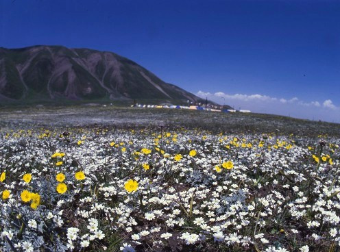 Памир и его предгорья. ВАДИМ ГИППЕНРЕЙТЕР — ВЕЛИКИЙ ФОТОГРАФ ЗЕМЛИ РУССКОЙ