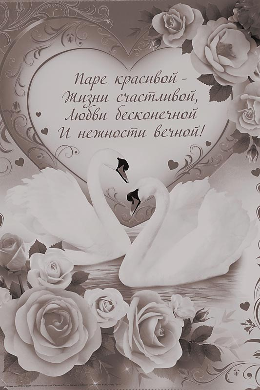 Свадьба Рита и Сергей Обработка в стиле 80-х. Skazka.wfolio.pro