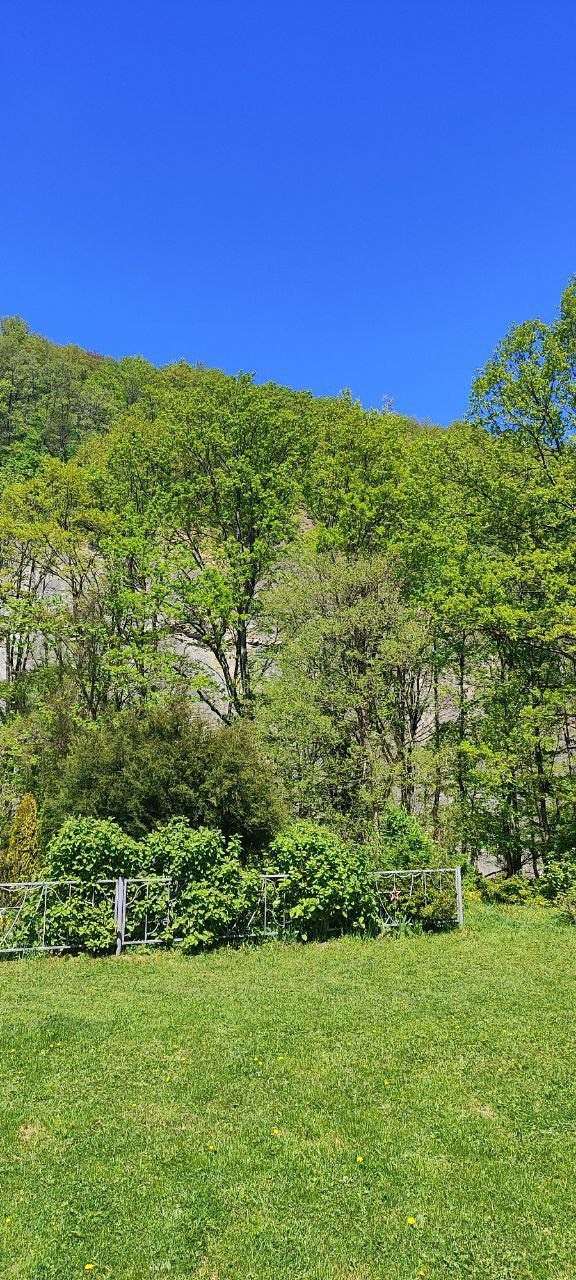 Горы 2025. Собор Отрасли