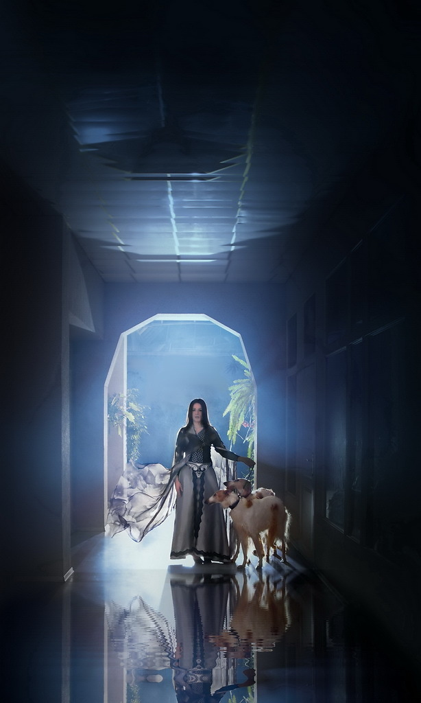 ретро фотосессия спб, фотосессия недорого спб, семейная фотосессия спб, детская фотосессия спб, фотосессия спб, фотостудия спб, фото крестины ребенка спб, семейный фотограф, семейное фото, деловой портрет, бизнес портрет, фотопрогулка, фотопрогулка спб, съемка с животными, съемка животных