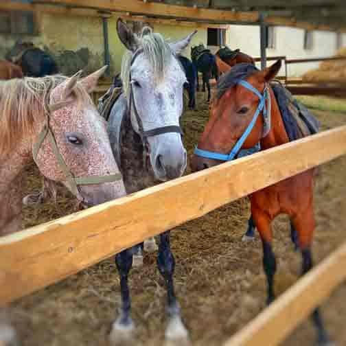 Локации в городе Анапа для семейной (лове стори и индивидуальной)съемки. Фотограф и Видеограф Анапа, Новороссийск, Краснодар. Алина и Женя