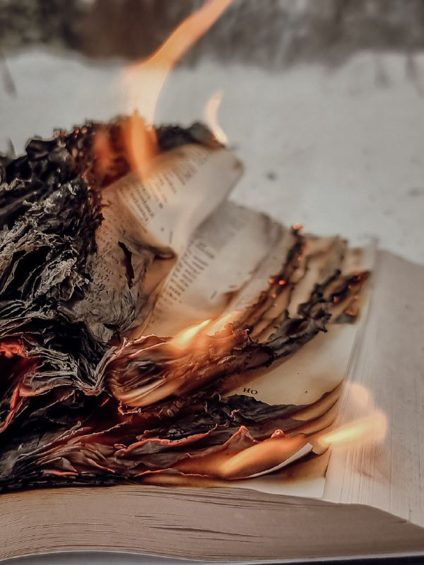 Интенсив «ТВОРИ ПУТЕШЕСТВИЯ». Фотограф Светлана Анисимова обучение фото видео рилс