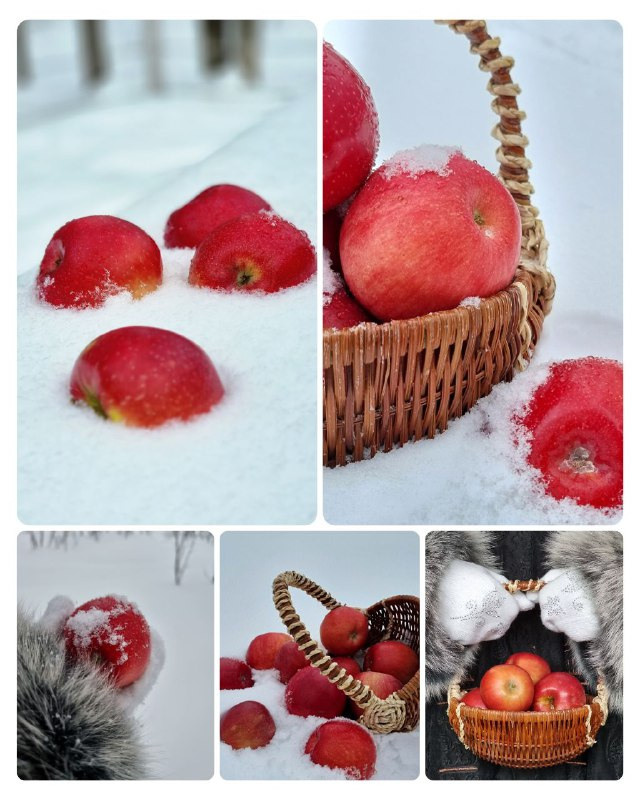 Клуб «ТВОРИ». Фотограф Светлана Анисимова обучение фото видео рилс