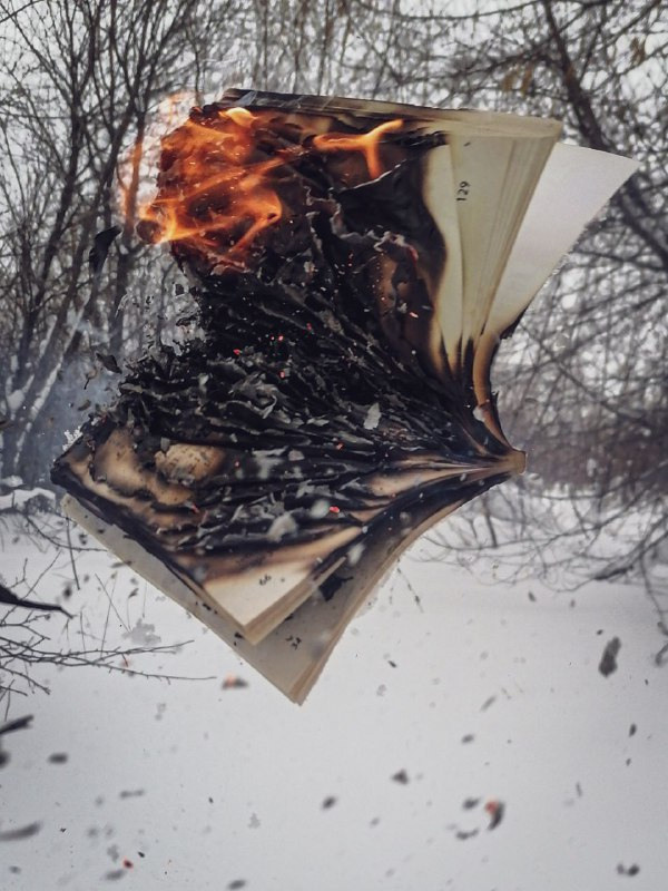 Интенсив «ТВОРИ ПУТЕШЕСТВИЯ». Фотограф Светлана Анисимова обучение фото видео рилс