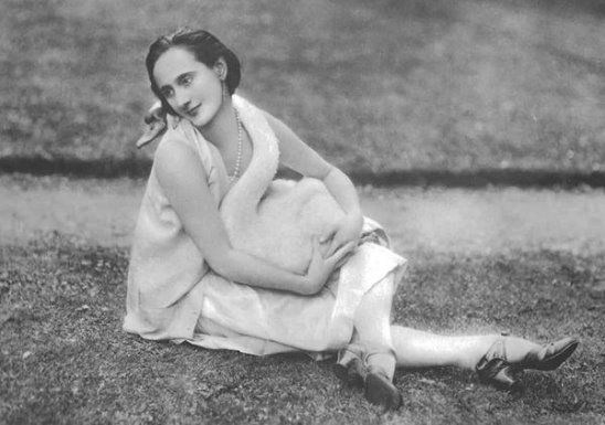 Птицы Лебеди, цапли и др. Фотограф для маркетплейсов Михаил Бове