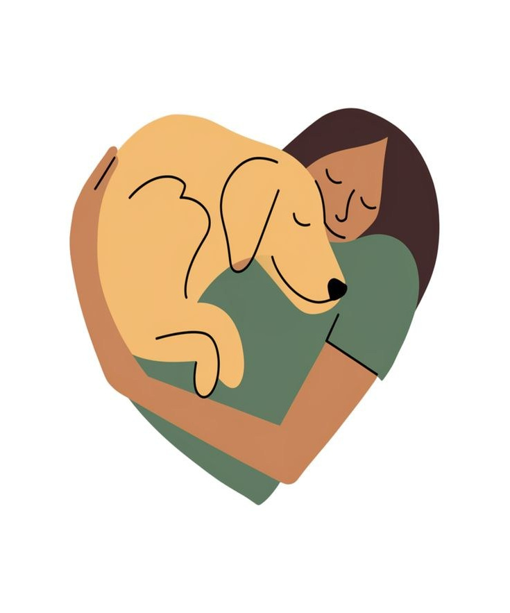 О нас. Забери домой друга