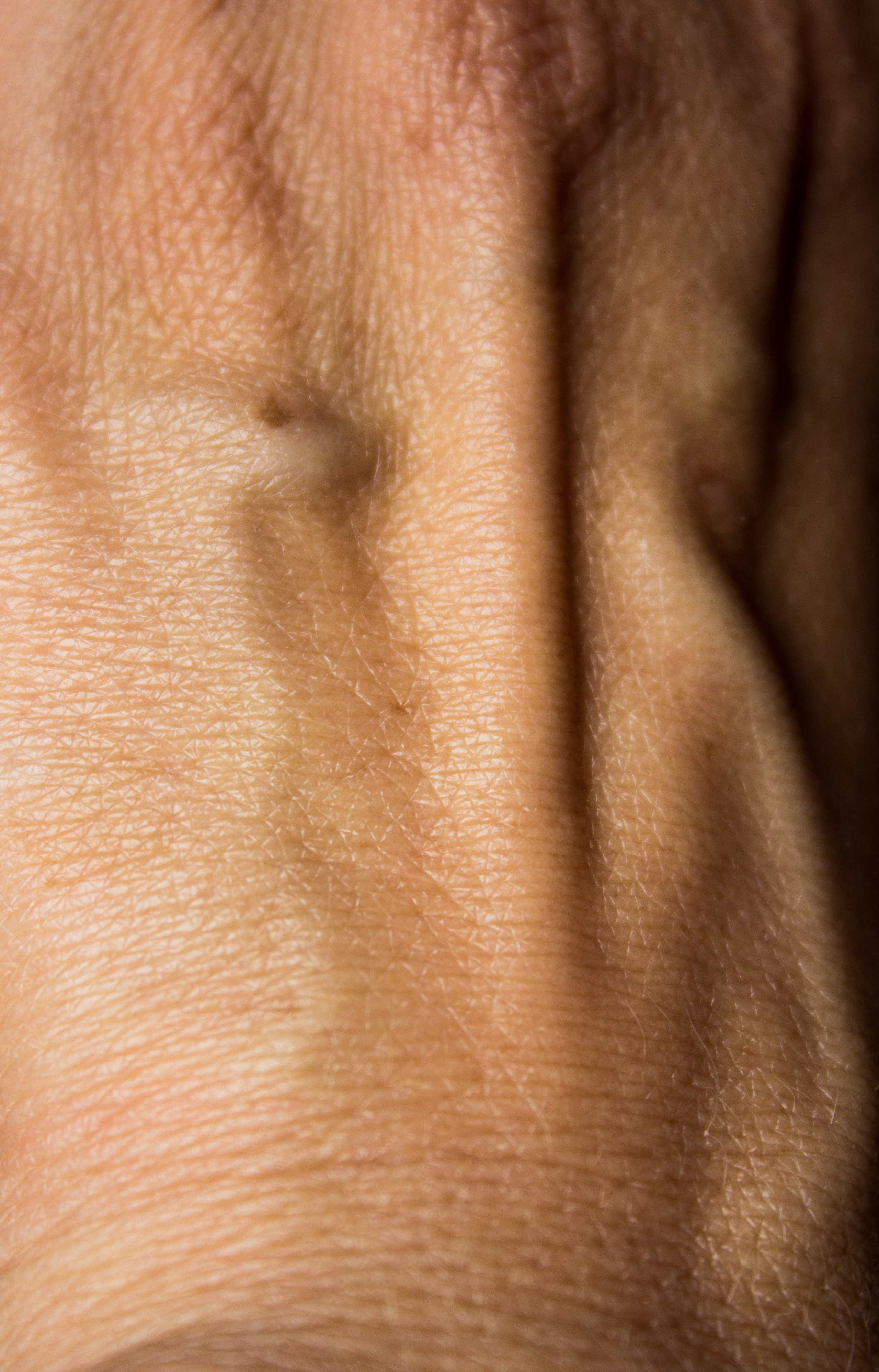 Анатомия трещин (красненькая биеннале, санкт-петербург, 2025). Julia Gorbunova