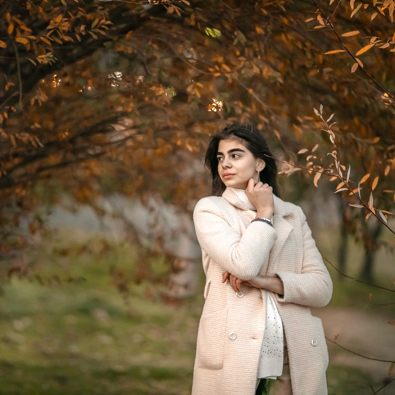 Красивая девушка брюнетка на фоне осенних кустов в коричневых тонах 