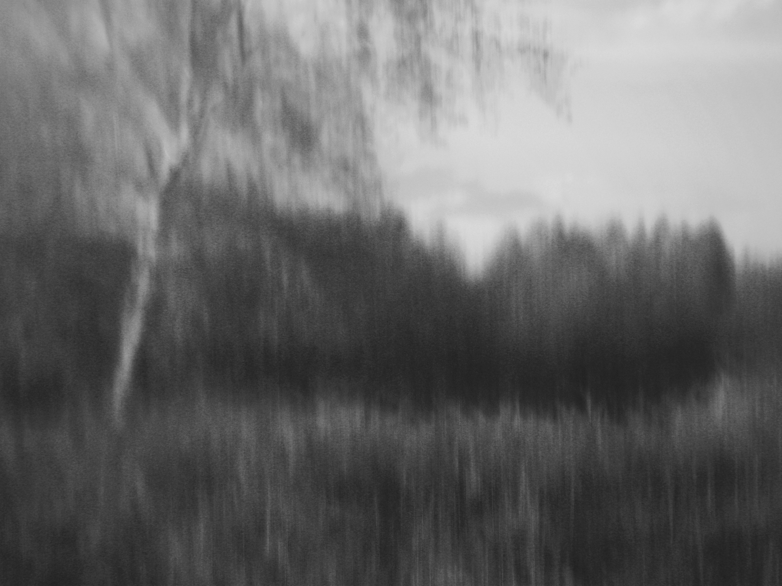 Корелин Евгений. ARTEXPOPHOTO