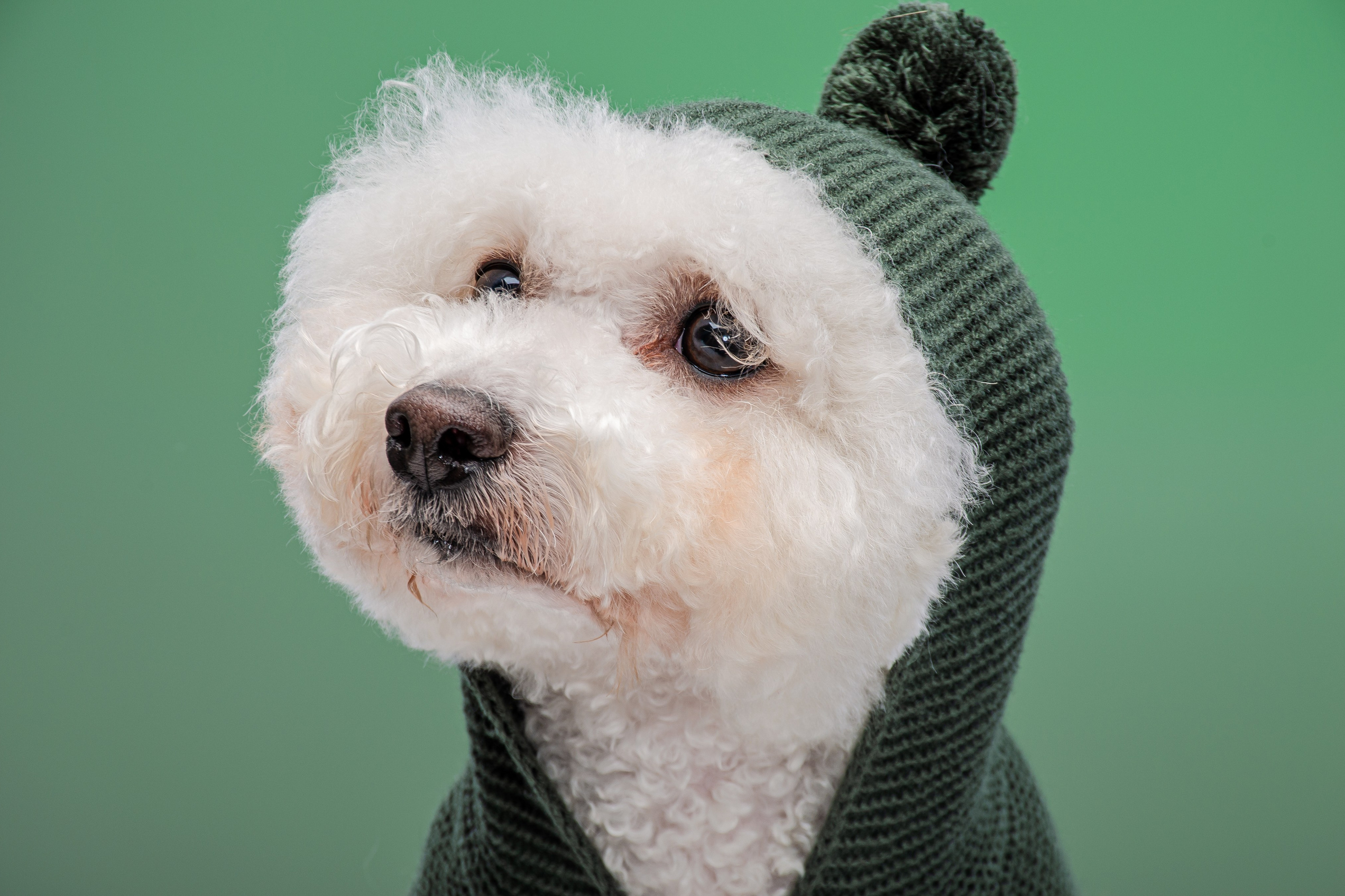 Услуги. Фотограф в Балашихе, Москве