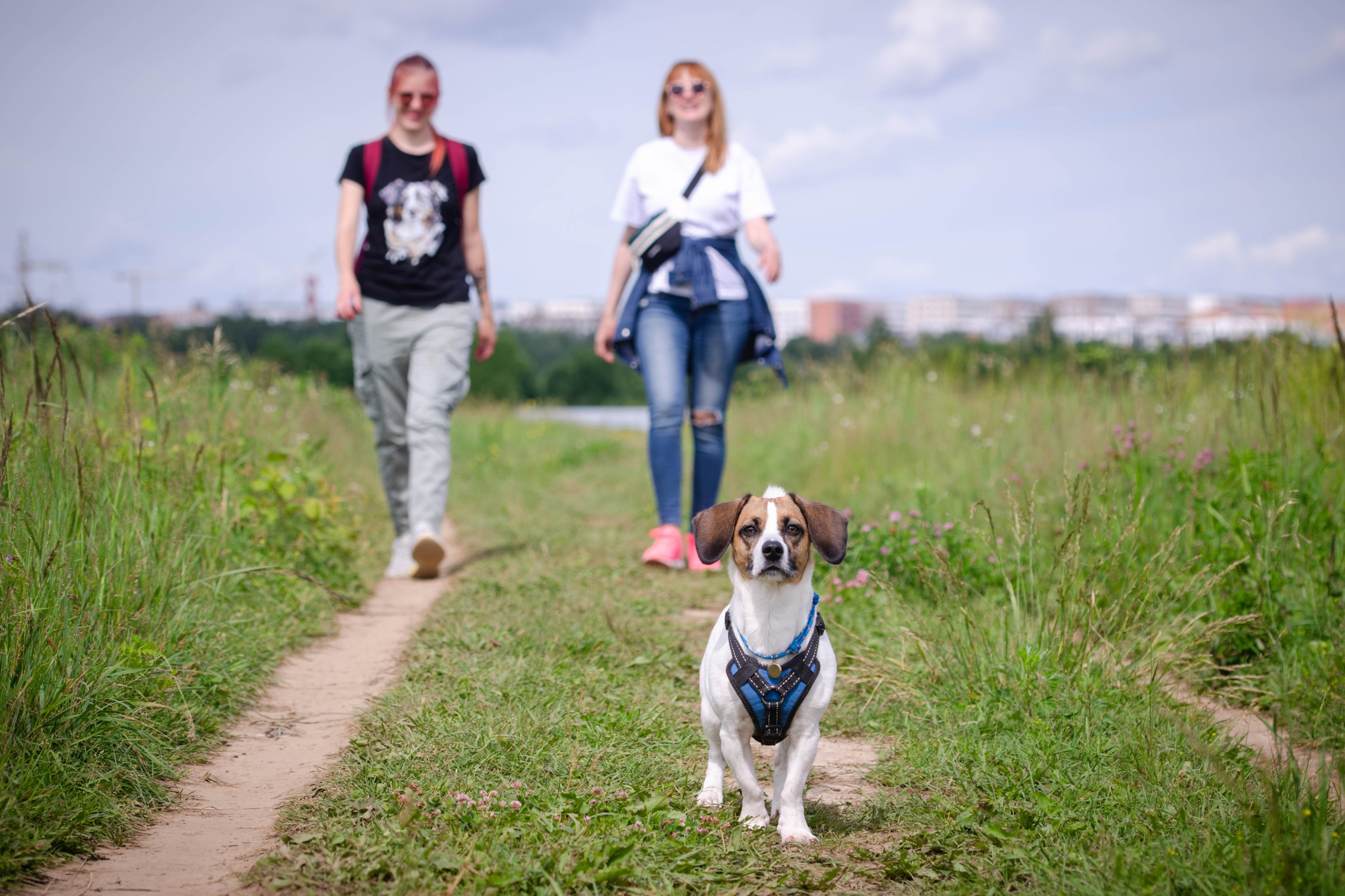 Услуги. Фотограф Светлана Блинова, Москва и Московская область